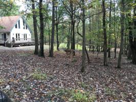 7 Iroquois Rd