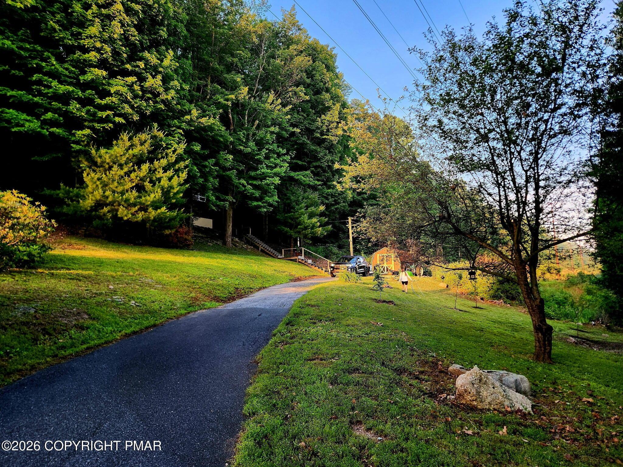 Image 4: 4513991157394118866