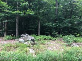 13-1905-19 Wyomissing Dr