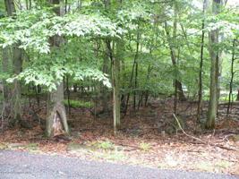 801 Selig Rd