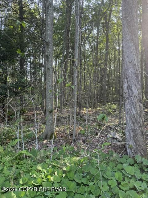 Image 3: Sweet Briar