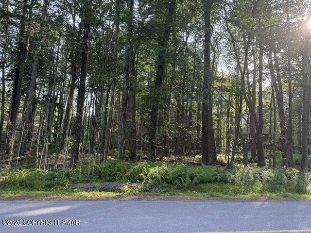 Image 4: Sweet Briar