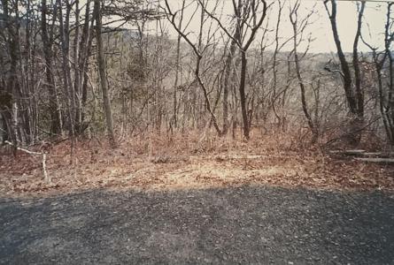 88 Beaver Lane