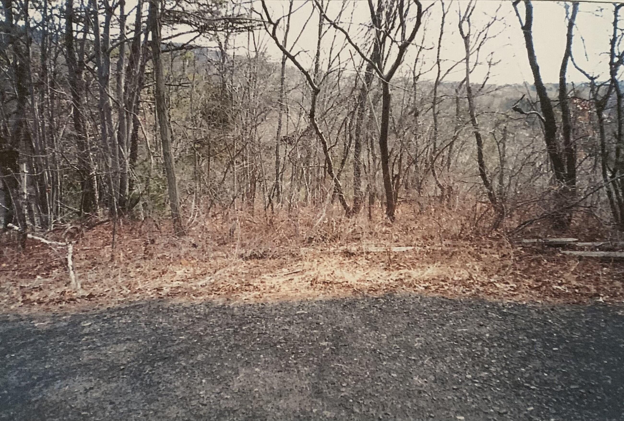 Image 1: Panoramic View