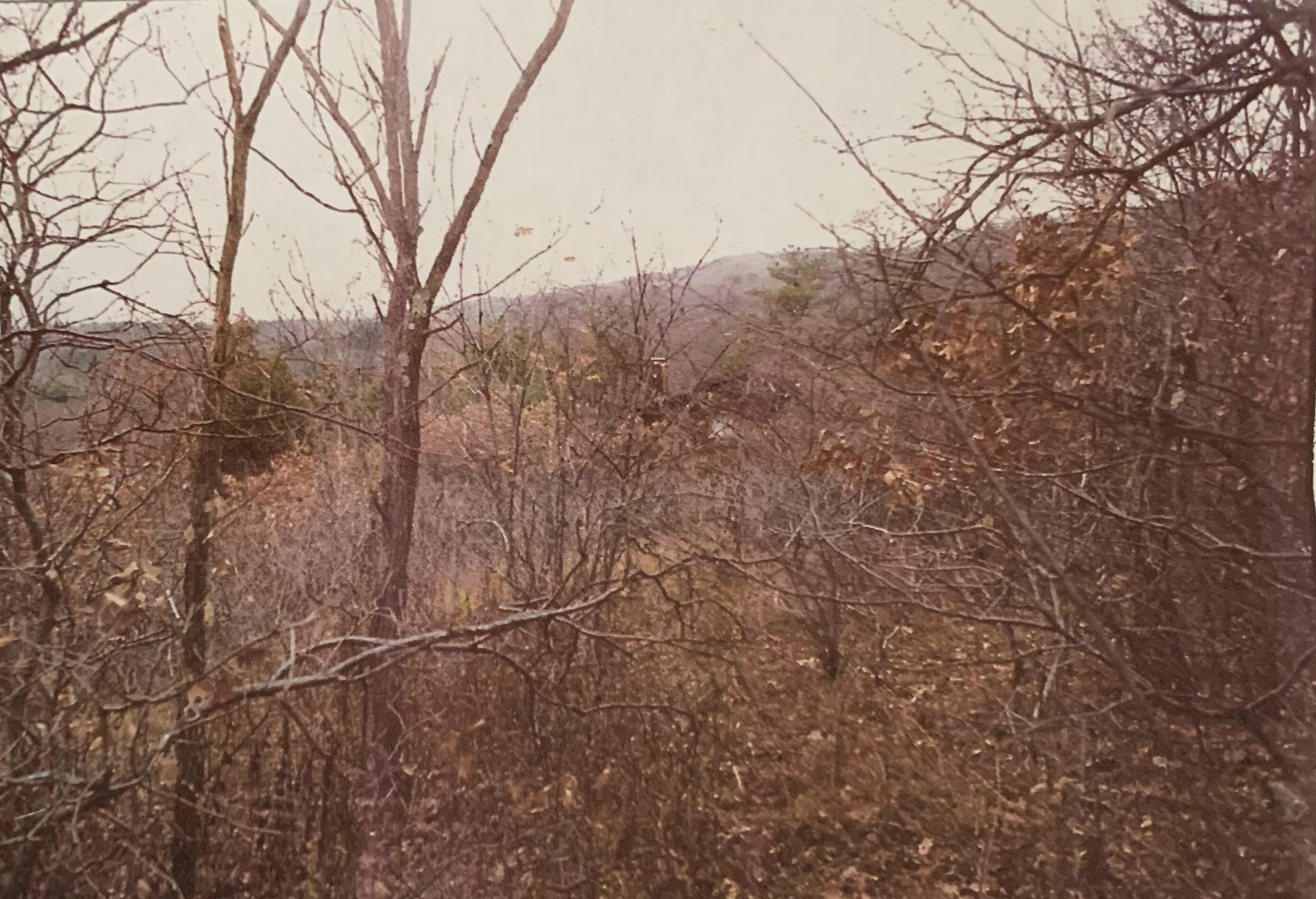 Image 2: Panoramic View