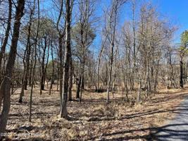 EV1573 Maccauley Road & Berryman Ln