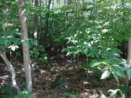 83 Delbert Dr.