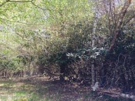 3 Canoe Brook