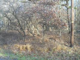 62 Crestview Rd