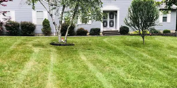 225 PAW PAW Drive