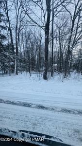 108 IDLEWILD Drive