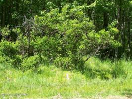 19-2104-21 Maxatawny Dr 2 19 