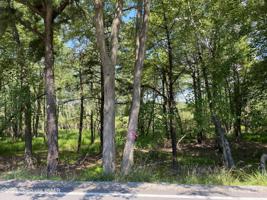 Lot 118 LAKE SHORE Drive
