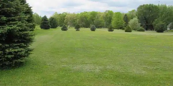 Lot 205 Bear Creek Lake & Laurel Dr