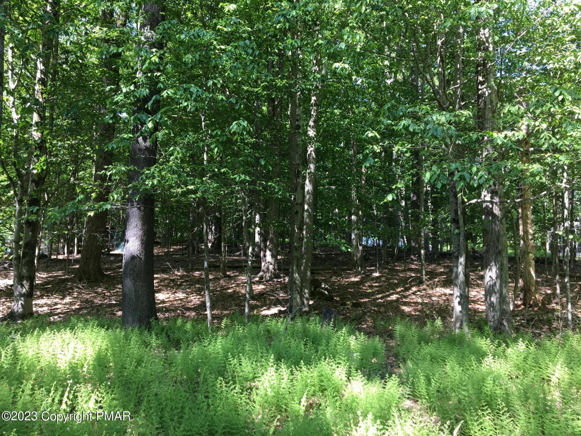 Image 2: IMG-7031