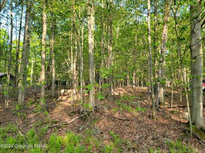 N1951 E Creek View Drive