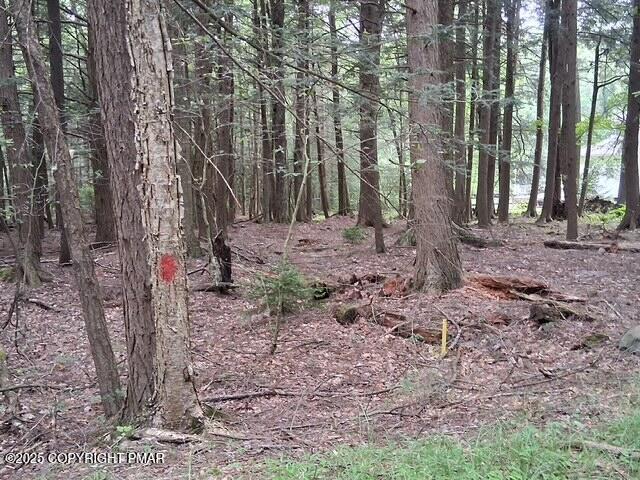 Image 4: 7261614301398537081