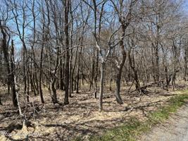 713 Chippewa Trail