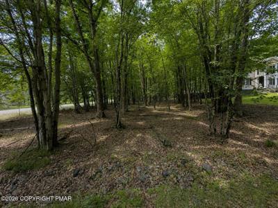 Antler Trail Lot 421
