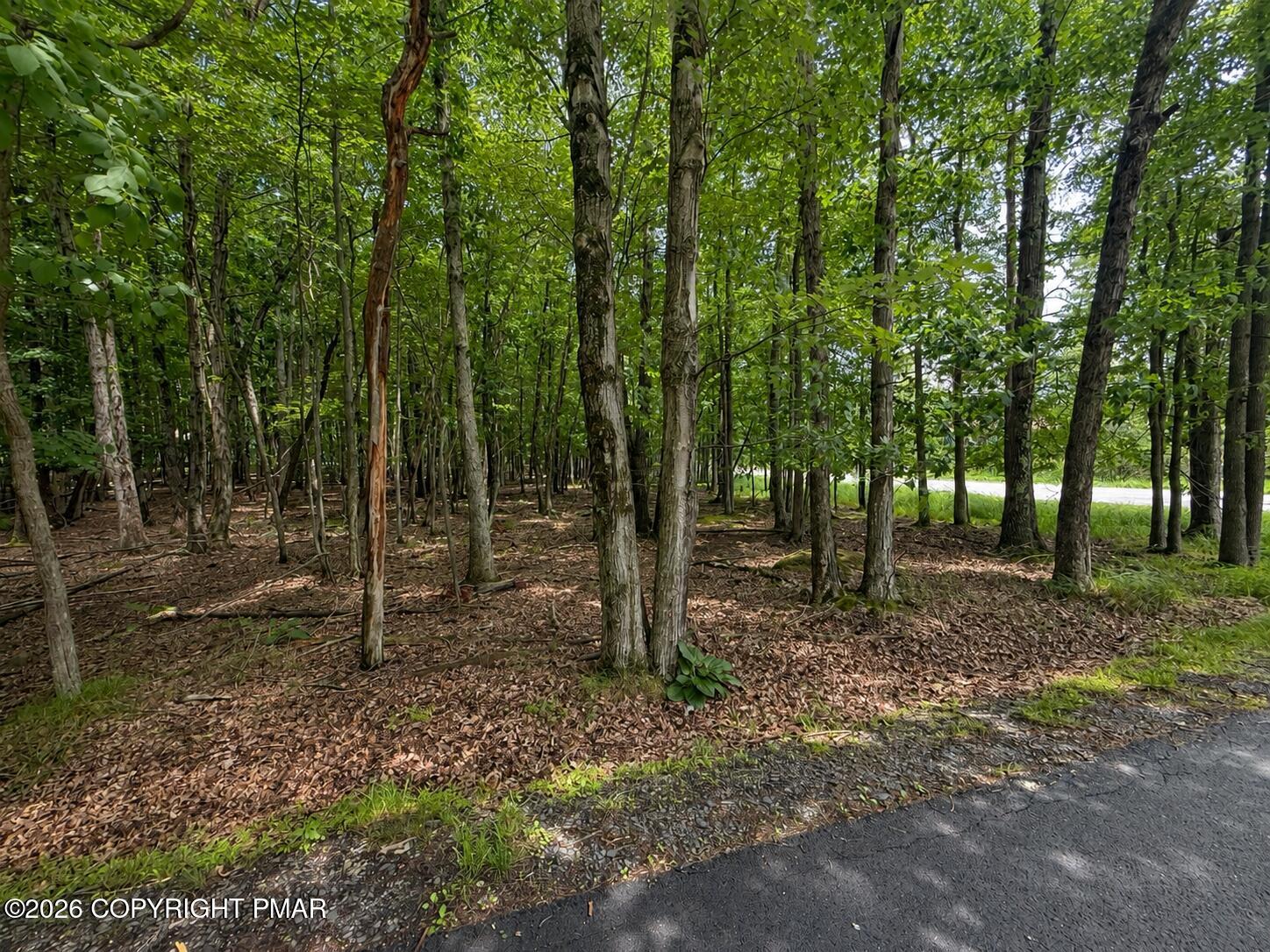 Image 1: Land