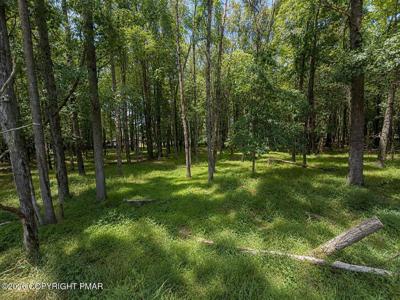 Mountain Rd  Lot 521