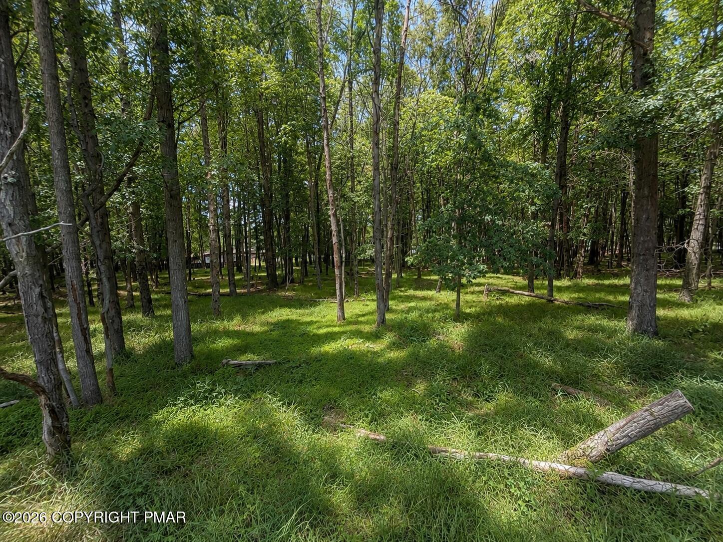 Image 1: Land