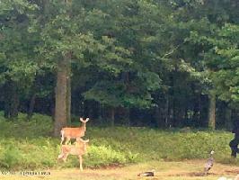 57 Penn Forest Trail