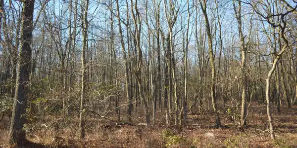 Lot 90MV Mountain View Dr