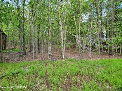 #1873 N Mt Glen Drive