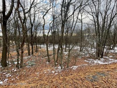 805 DOGWOOD Terrace