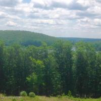 Woodsbluff