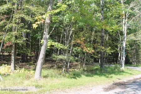#22 OMAHA Trail