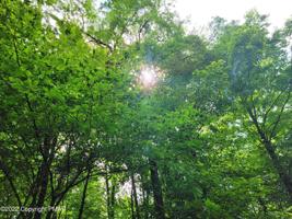 10 WYOMISSING DR