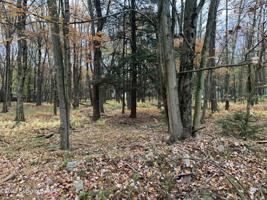 24 N Arrow Dr