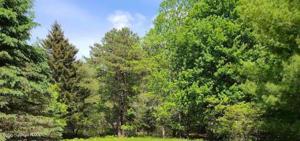 117 FERN RIDGE Road