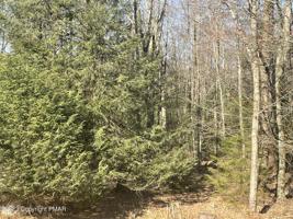 5 Indian Tr Trail