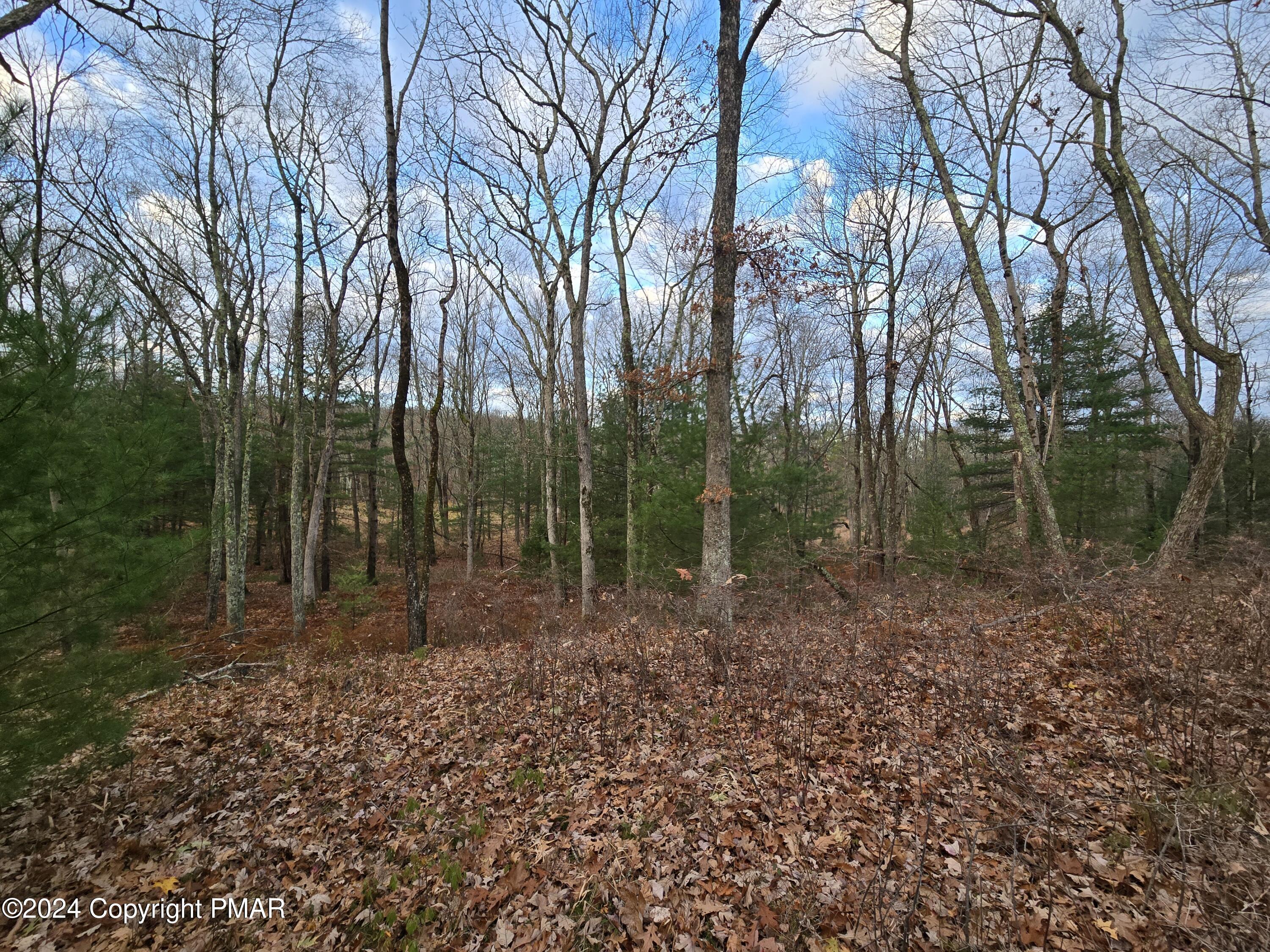 Image 3: Wood Lot 1