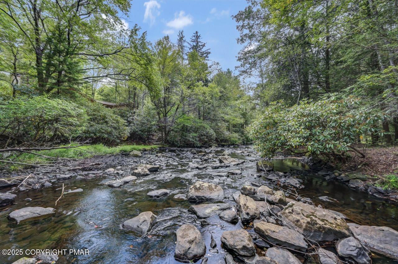 Image 4: Stream Front