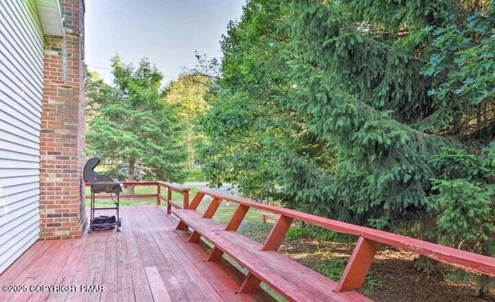 Image 4: 479 Mountain road (4)