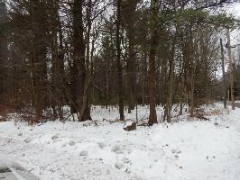 Pocono Crest RD