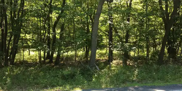 Midway Dr