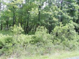 Lot #46 Court Drive