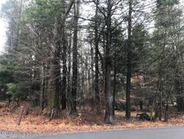 Big Pine Drive & Holiday Dr