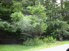 Lot 5410 CLEARVIEW DR