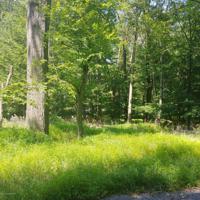 340 Fawn Road Rd