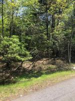 Lupine Dr
