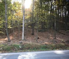 Lot 298 Winona Falls Rd