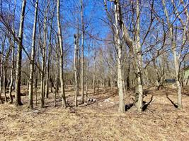 Schochs Mill Rd Lot 140