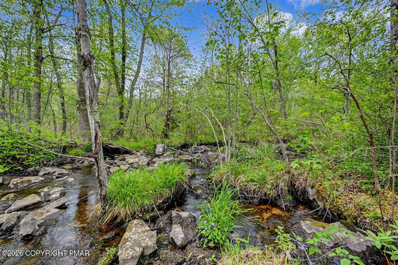 Image 3: Serene Stream