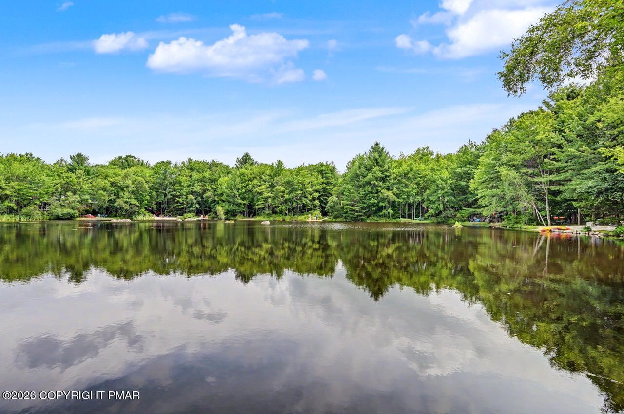 Image 2: Pond Setting